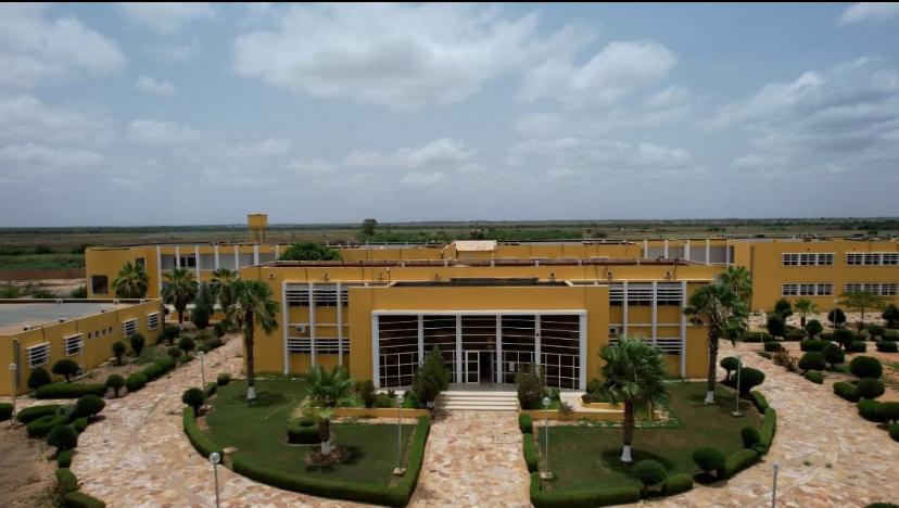 Physics researchers collaborating